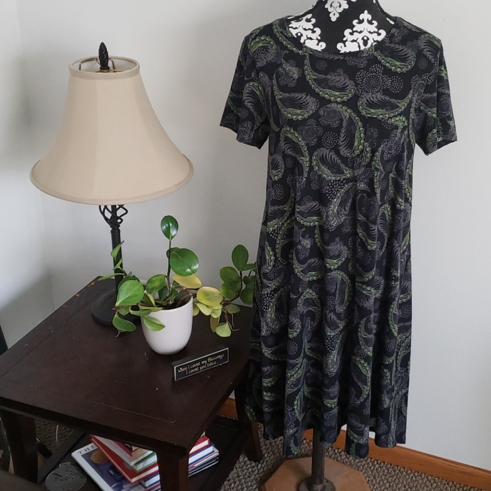 Lularoe Carly dress in Paisley print